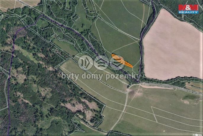 Prodej, Les, Žandov