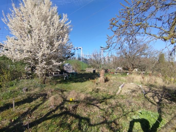 Prodej, Zahrada, Brno