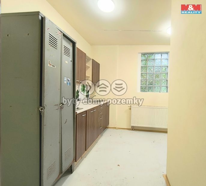 Pronájem, Obchod a služby, Slaný