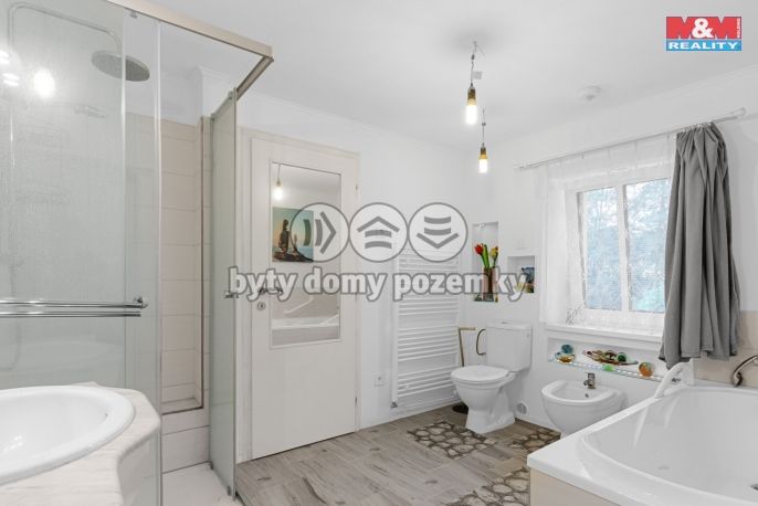 Prodej, Obchodní objekt, Žandov