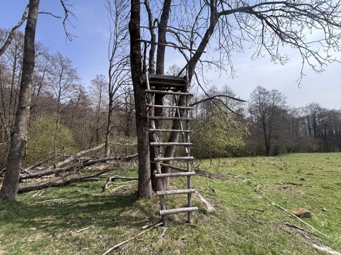 Prodej, Louka, Cvikov