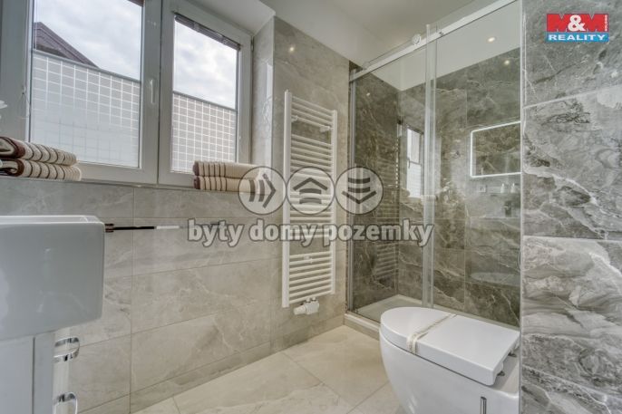 Prodej, Hotel, penzion, Železná Ruda