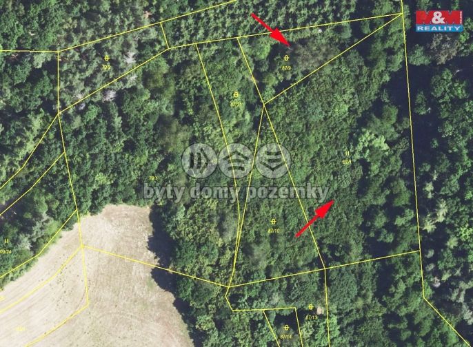 Prodej, Ostatní, Nezabudice