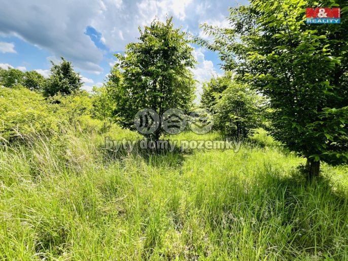 Prodej, Ostatní, Veselí nad Moravou