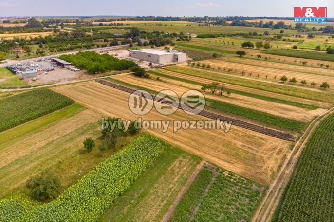 Prodej, Pole, Podivín