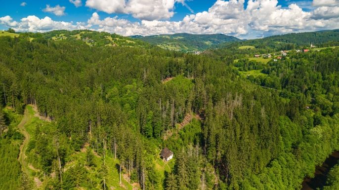 Prodej, Les, Jablonec nad Jizerou