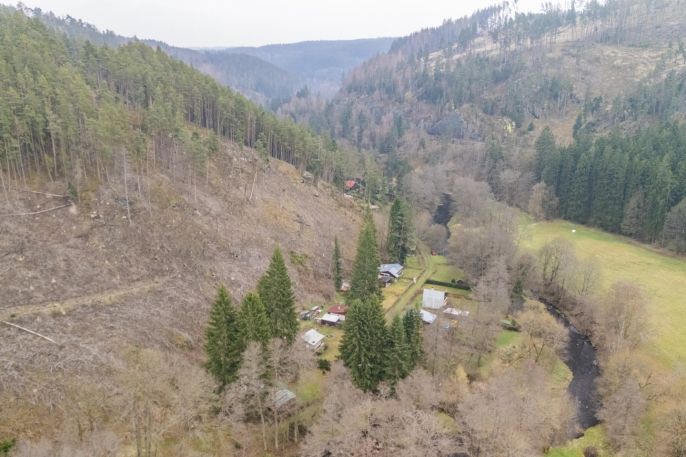 Prodej, Chata, Planá