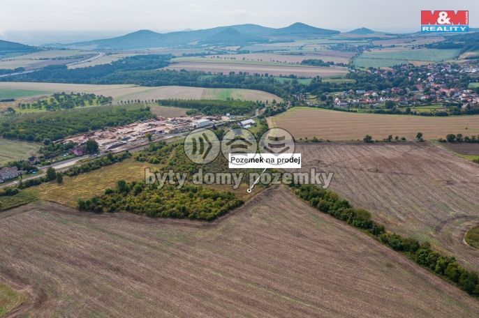 Prodej, Ovocný sad, Chotiměř