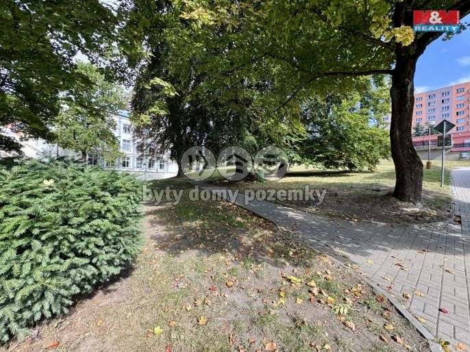 Prodej, Byt 3+kk, Aš