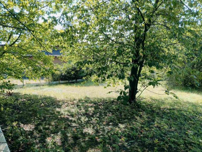 Pronájem, Zahrada, Zruč-Senec