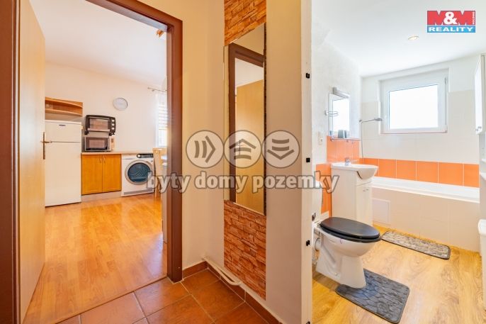 Pronájem, Byt 1+1, Horní Slavkov