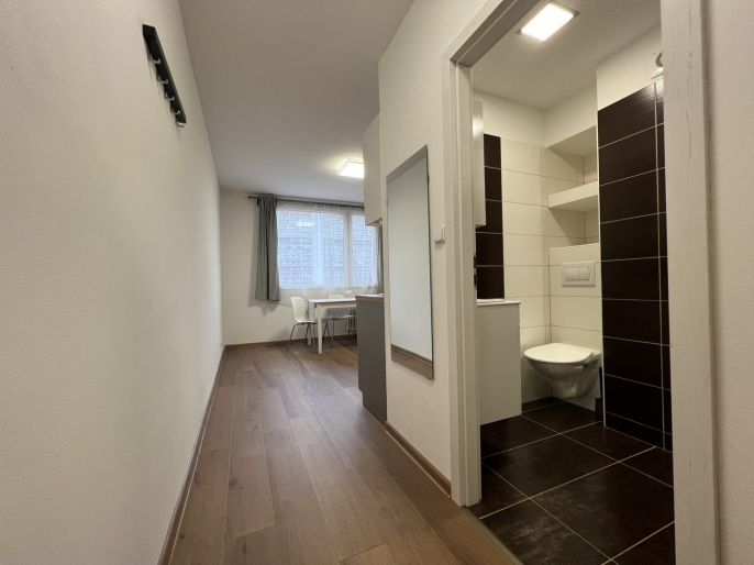 Pronájem, Byt 1+1, Chomutov