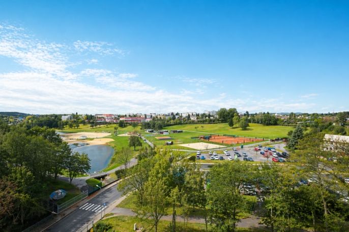 Prodej, Byt 1+kk, Karlovy Vary