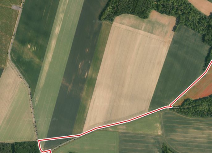 Prodej, Pole, Vysoká