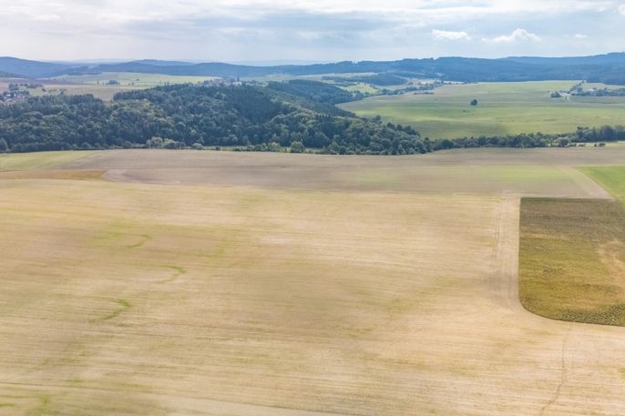 Prodej, Pole, Hlohovice