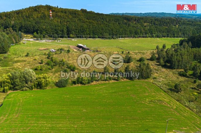 Prodej, Zemědělská usedlost, Hracholusky