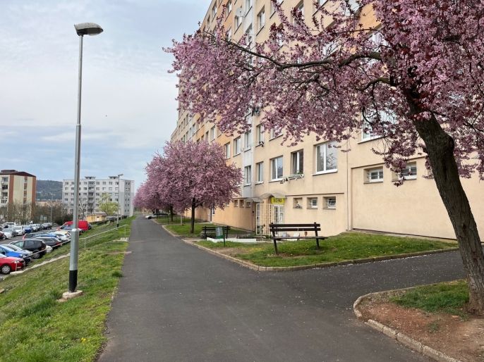 Pronájem, Byt 1+kk, Most