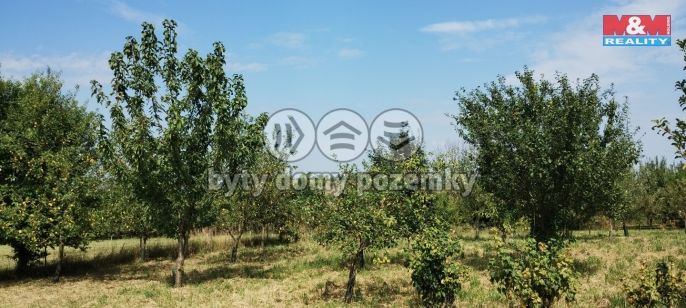 Prodej, Zahrada, Příbor