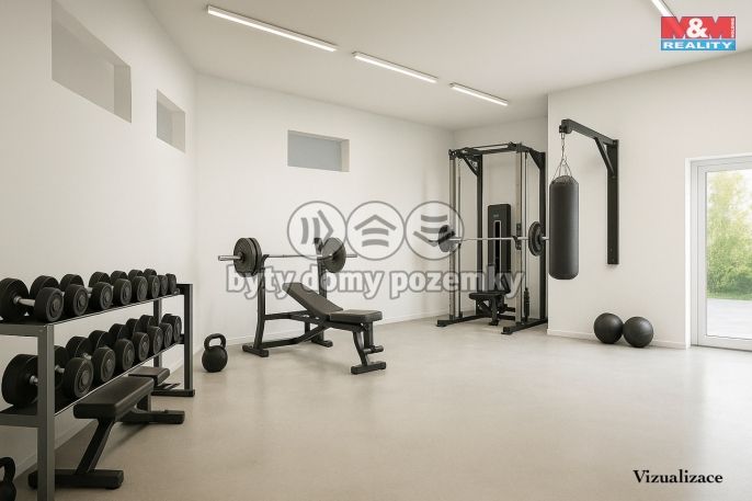 Prodej, Rodinný dům, Písek