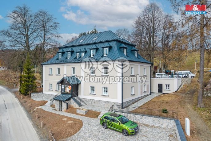 Prodej, Byt 3+kk, Vítkovice