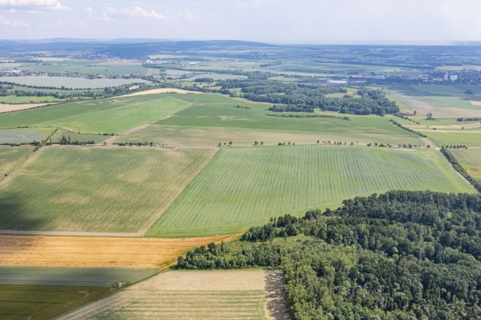 Prodej, Les, Bohuslavice