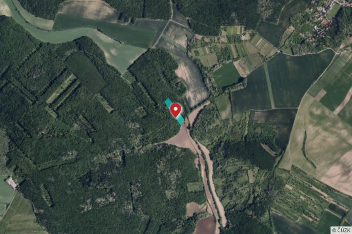 Prodej, Les, Klobouky u Brna