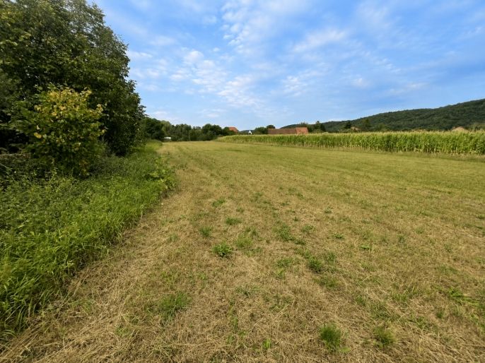 Prodej, Pozemek k bydlení, Libomyšl