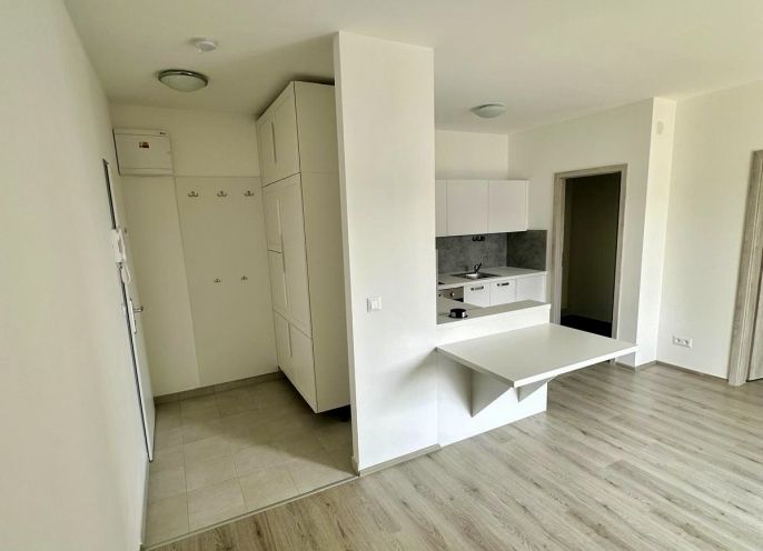 Pronájem, Byt 2+kk, Slaný