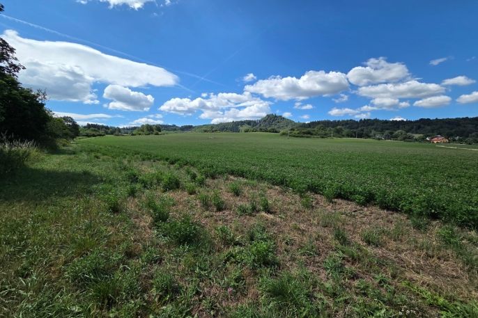 Prodej, Pole, Šemnice