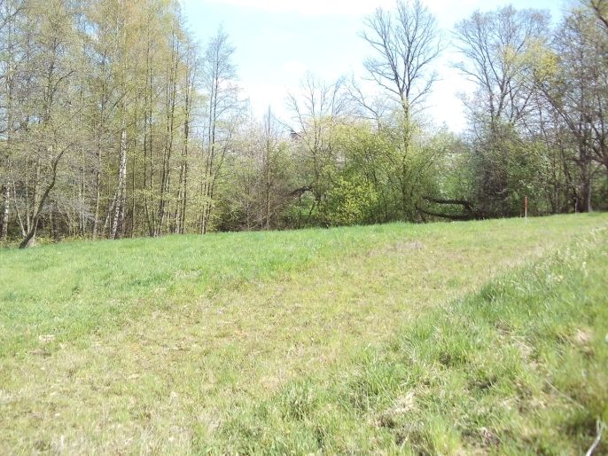 Prodej, Zahrada, Horní Bludovice