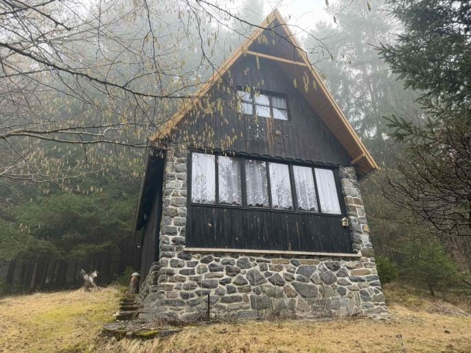 Prodej, Chata, Borovnice