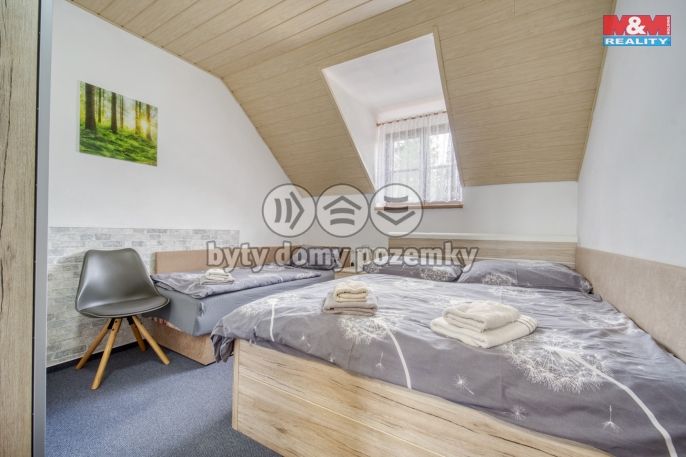 Prodej, Hotel, penzion, Železná Ruda