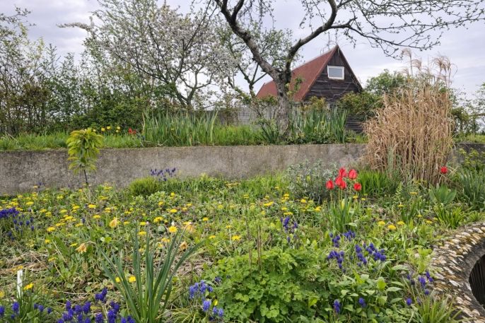 Prodej, Chata, Praha