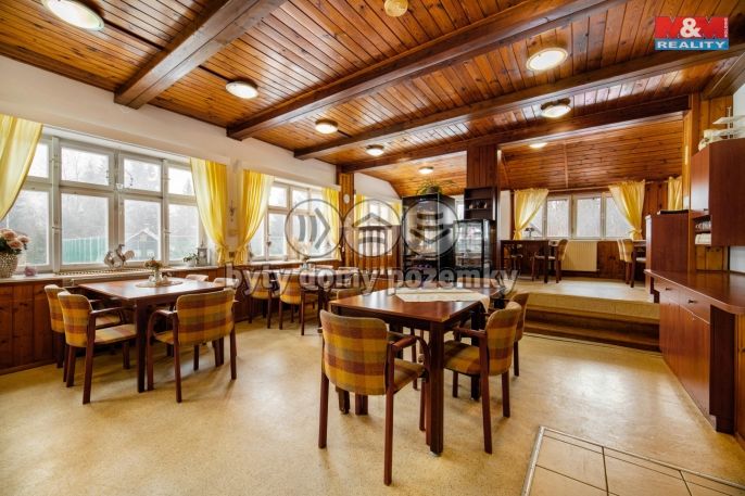 Prodej, Hotel, penzion, Bartošovice v Orlických horách