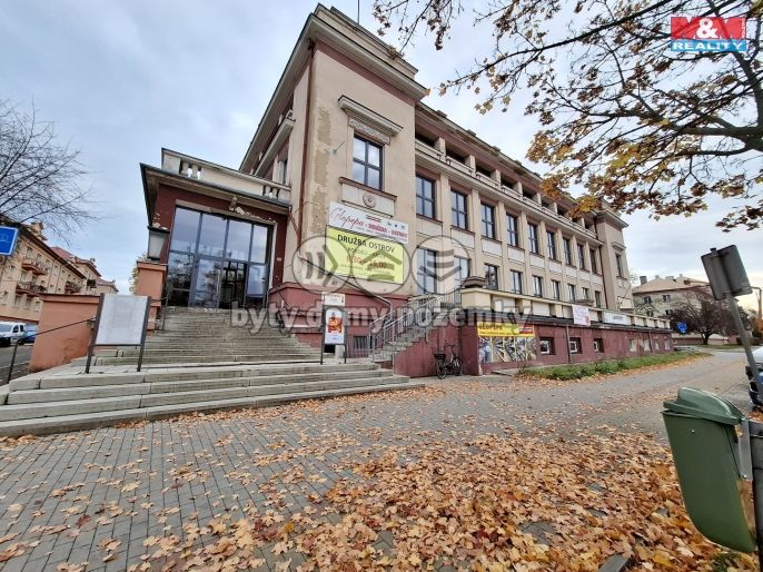 Pronájem, Obchod a služby, Ostrov