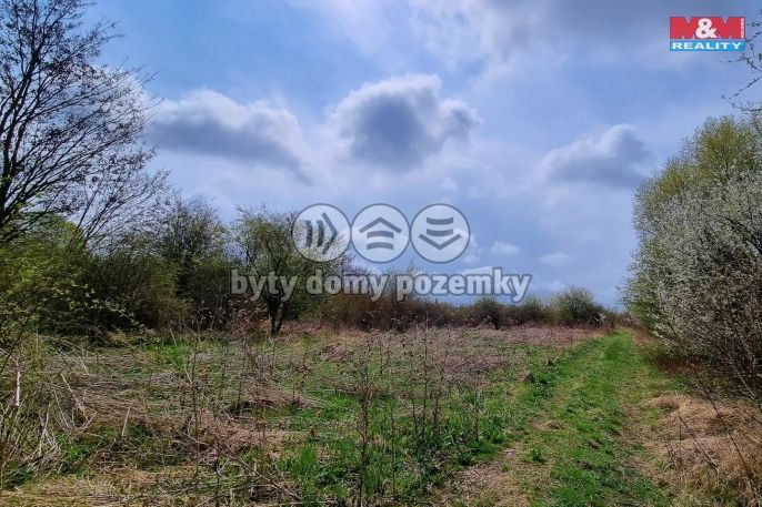 Prodej, Ostatní, Olomouc