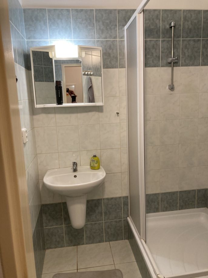 Pronájem, Byt 1+kk, Ostrava