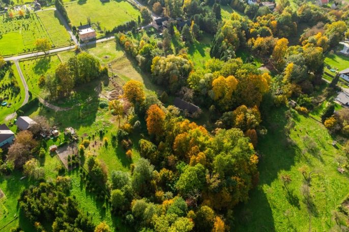Prodej, Rodinný dům, Chotěbuz