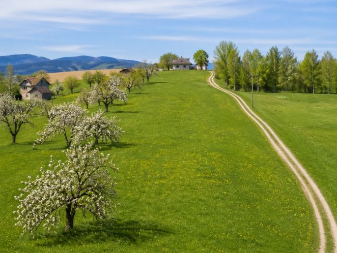 Prodej, Pozemek k bydlení, Třinec