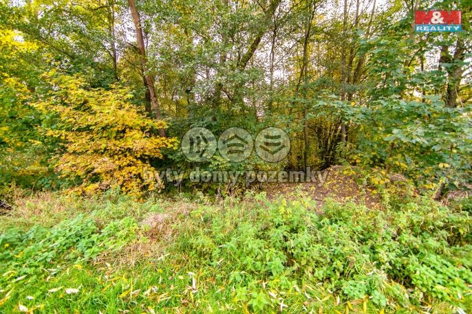 Prodej, Louka, Stará Voda