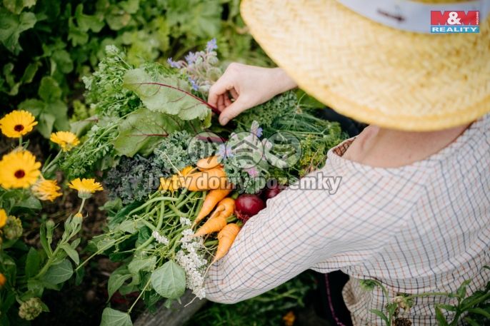 Prodej, Pozemek k bydlení, Sušice