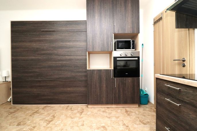 Pronájem, Byt 1+kk, Ostrov