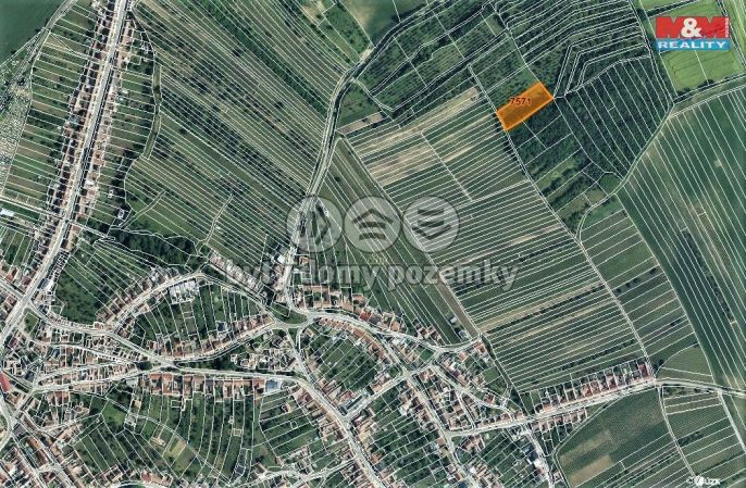 Prodej, Ovocný sad, Kobylí