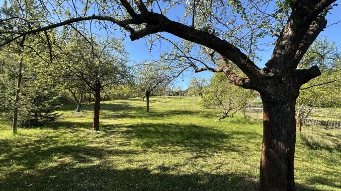 Prodej, Pozemek k bydlení, Oskořínek