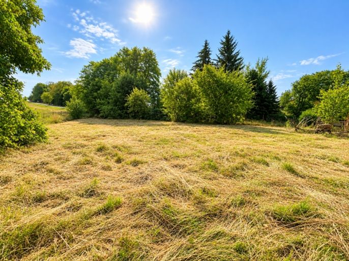 Prodej, Rodinný dům, Střížovice