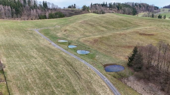 Prodej, Pozemek k bydlení, Písečná