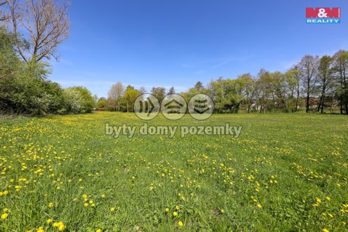 Prodej, Louka, Horní Bříza