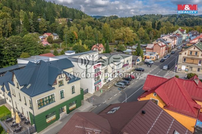 Prodej, Obchod a služby, Tanvald