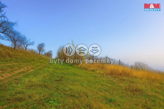 Prodej, Vinice, Bukovany