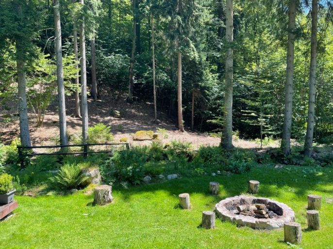 Prodej, Chalupa, Desná